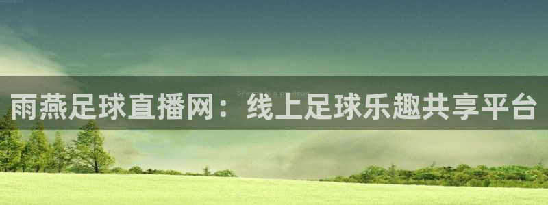 9255tv直播无插件nba：雨燕足球直播网：线上足球乐趣共享平台