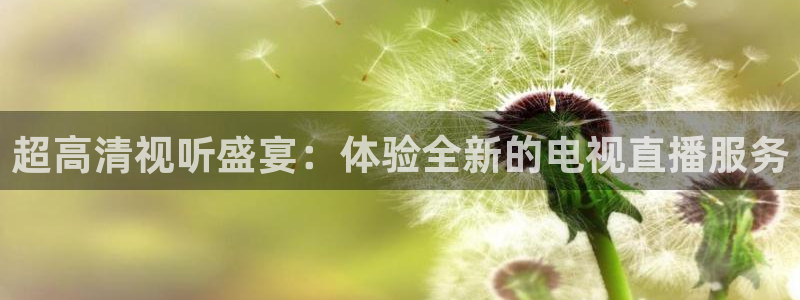 9255tv直播无插件nba：超高清视听盛宴：体验全新的电视直播服务