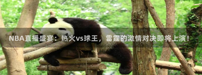9255tv直播nba在线观看：NBA直播盛宴：热火vs球王，雷霆的激情对决即将上演！
